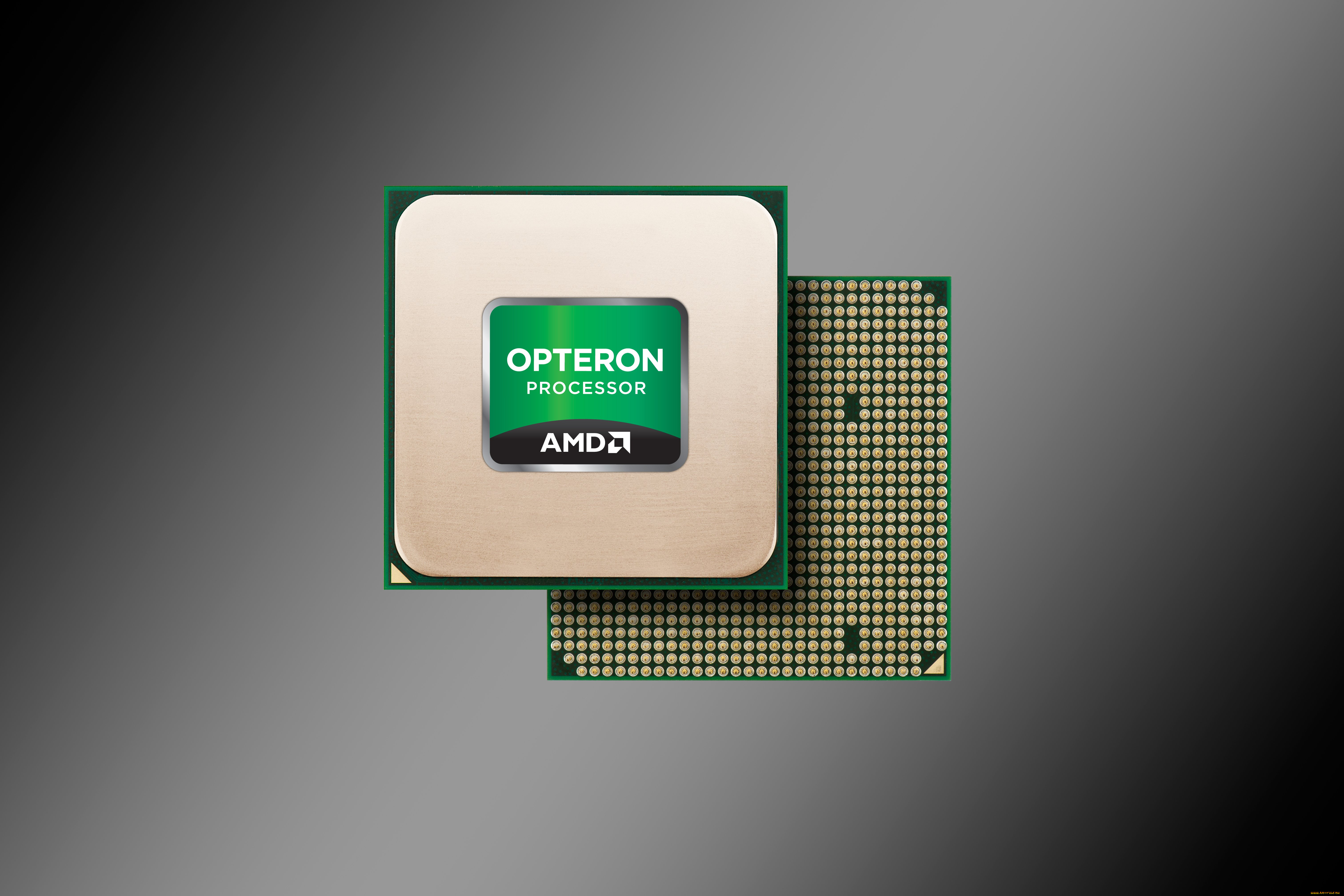 , amd, , 